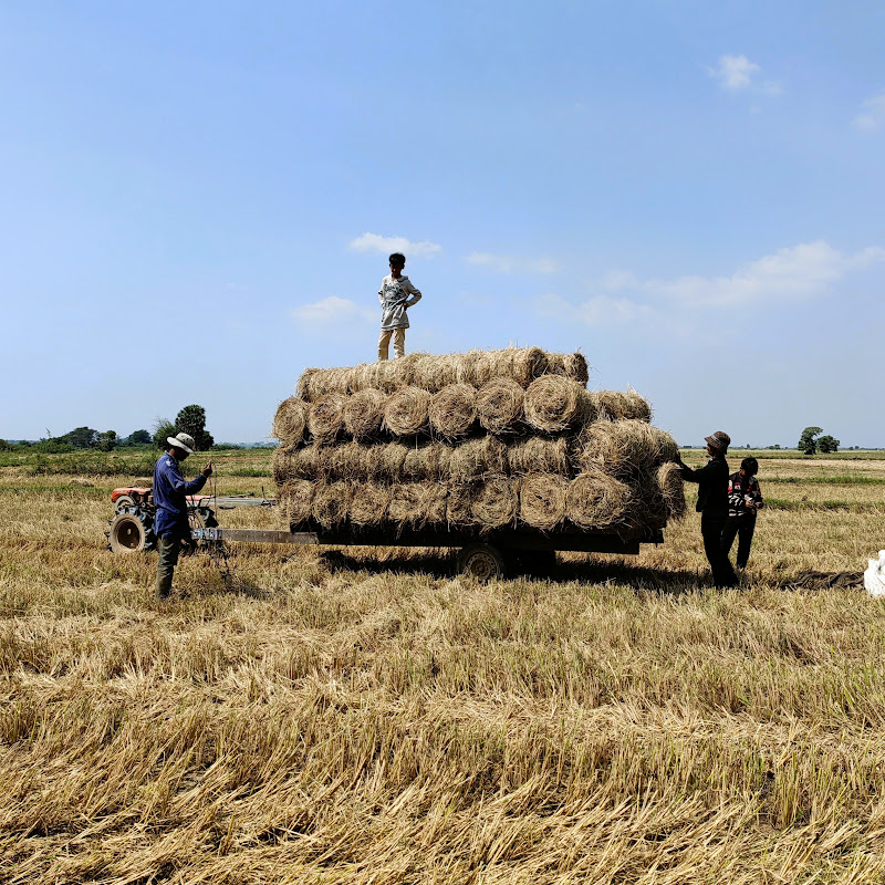 CAM FARM