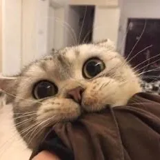 ⋆｡°✩