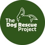 The Dog Rescue Project