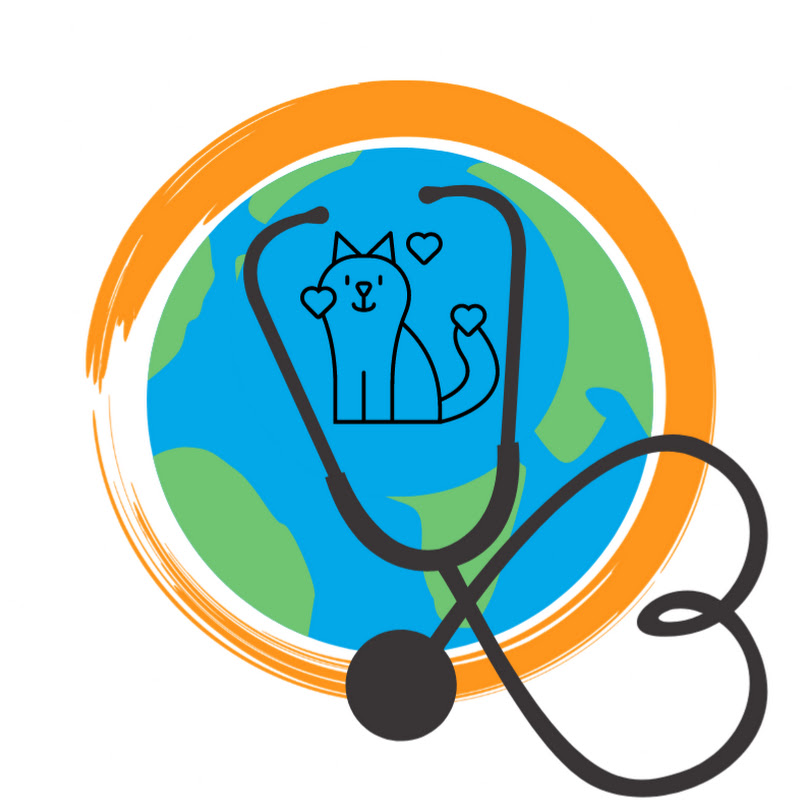 Vet Around the World