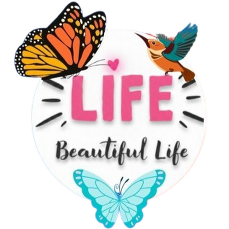 Beautiful Life VN