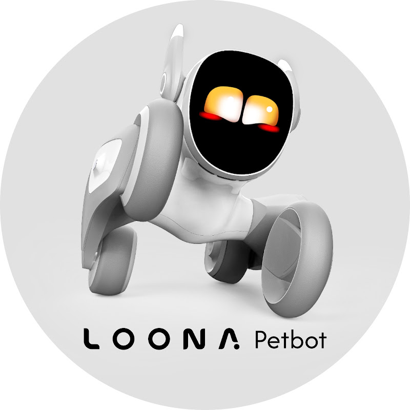 LOONA PETBOT