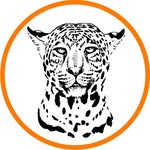 Jaguar Identification Project