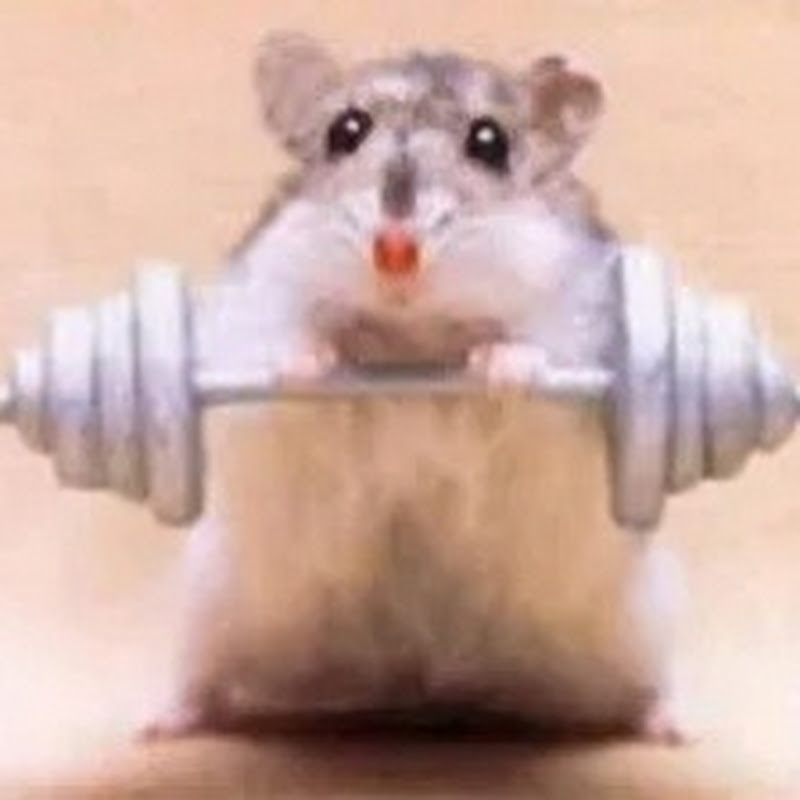 Gym Rat