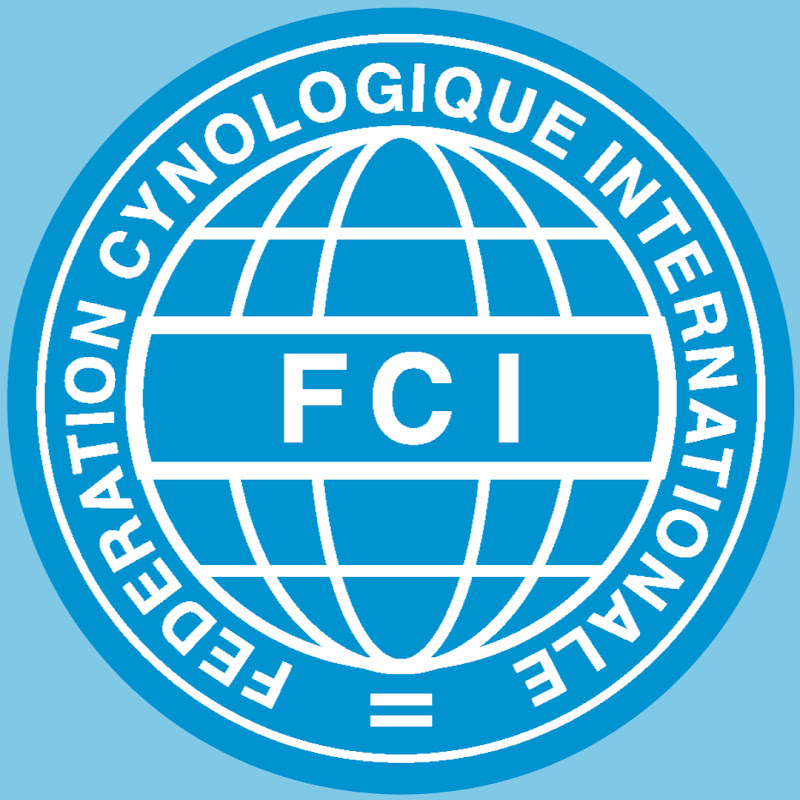 FCI for YOUtube