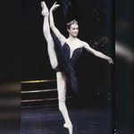 ☆ stars of ballet ☆