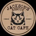Jackson’s Rescue Cat Cafe