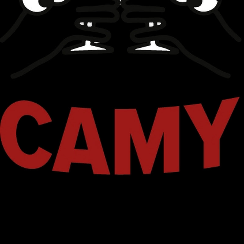 Camy shorts84