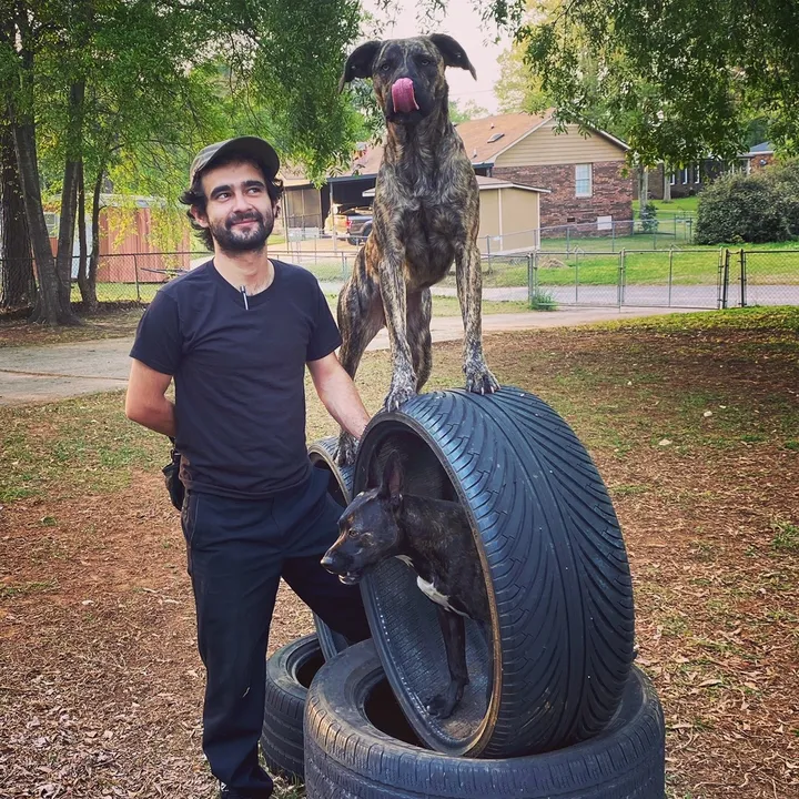 Dogs Anonymous