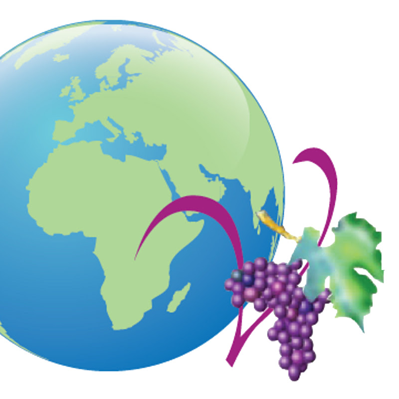 Vine International Christian Academy