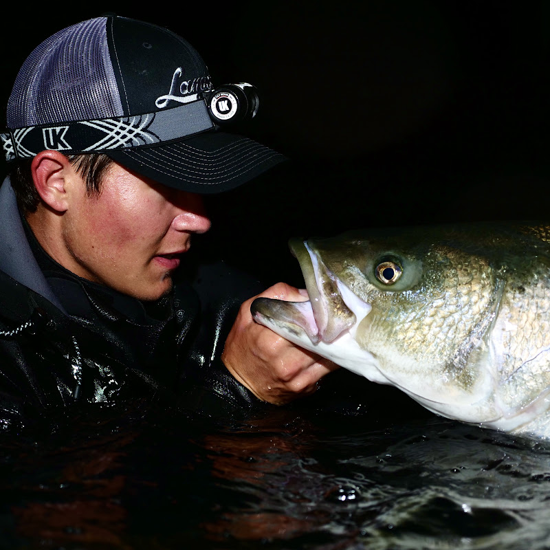 Striped Bass Hunt