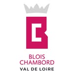 Blois Chambord 🏰 👑 🇫🇷