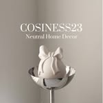 COSINESS23