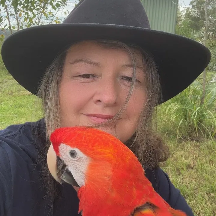 Macaws Australia