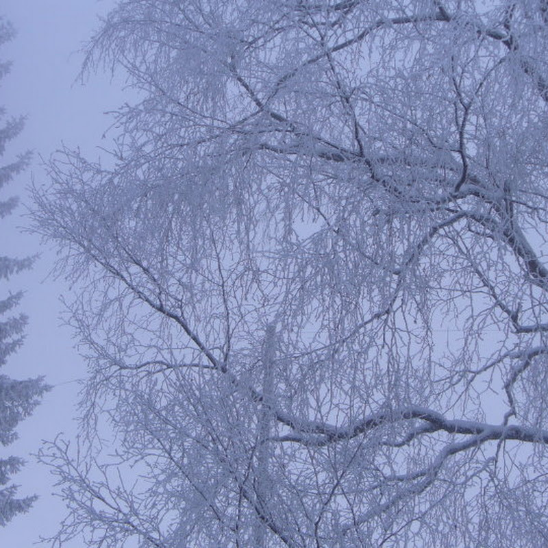 winter smith