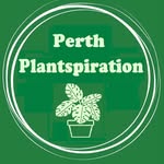 Plants, Pots, Gifts & More! 🪴💚