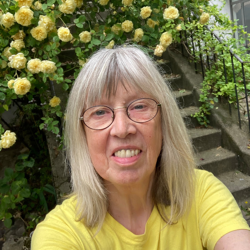 Judith Ann Robertson