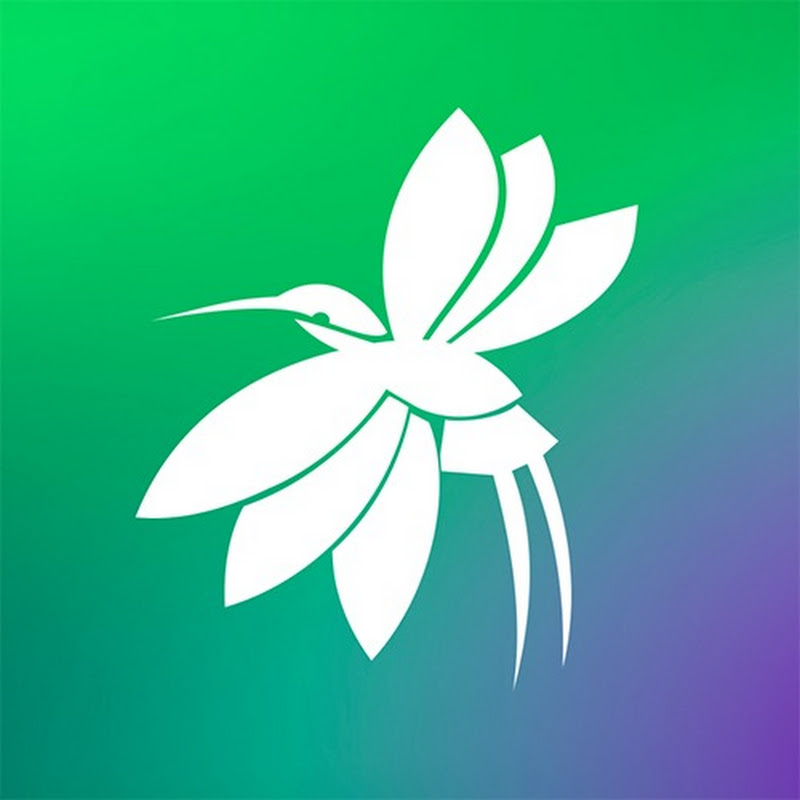 Компания ЭСТЕТИК