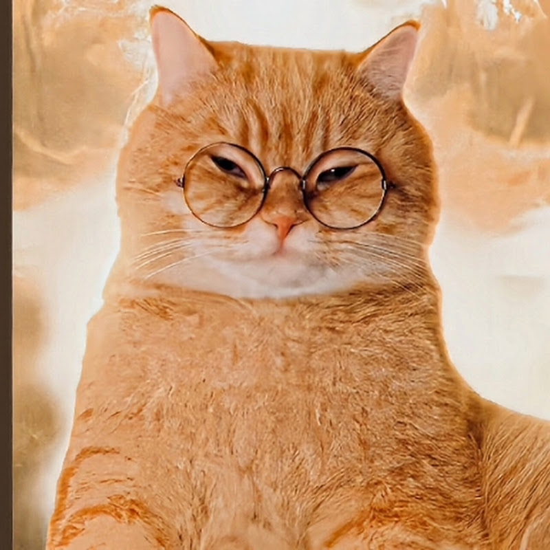 𝙎𝘼𝙌𝙞 𝙀𝘿𝙄𝙏𝙊