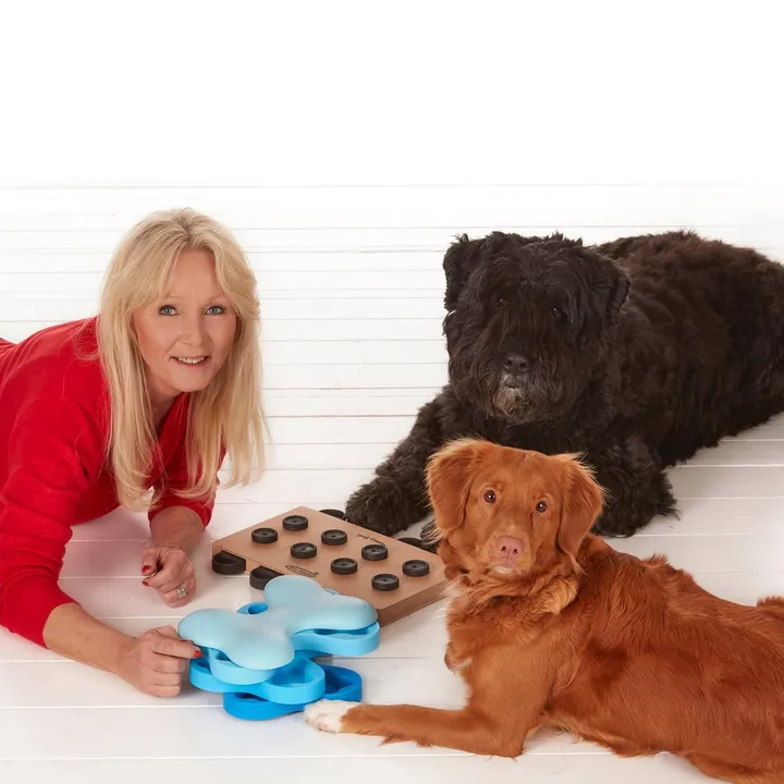 Nina Ottosson Puzzle designer