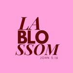 ʟᴀ ʙʟᴏꜱꜱᴏᴍ | ᴀccesorios