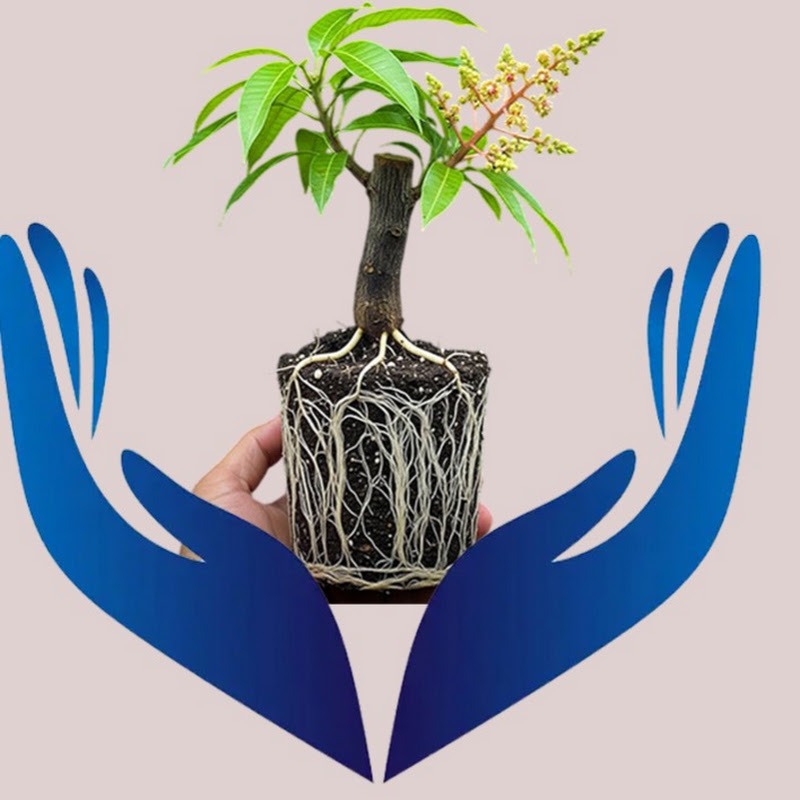 Tree Techniques