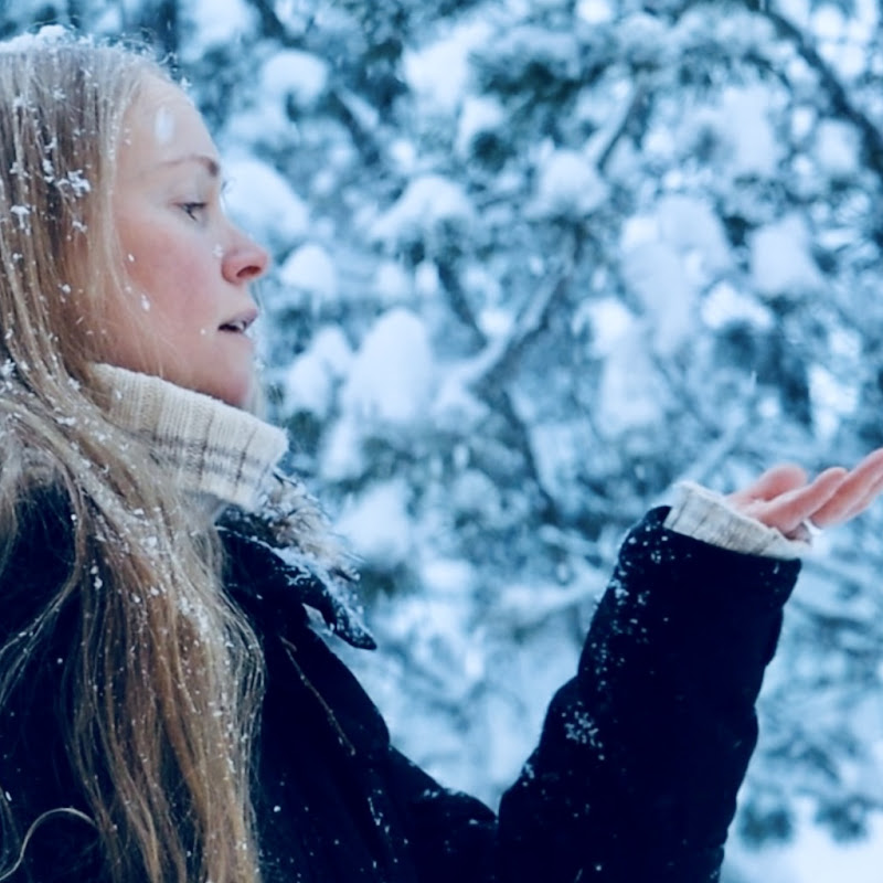 The Nordic Fairy