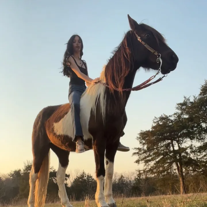 𝕔𝕝𝕒𝕚𝕣𝕖💵🛢️🎱🐴
