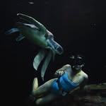 Alexandra Panagiotou | Conservationist 🌊🐢