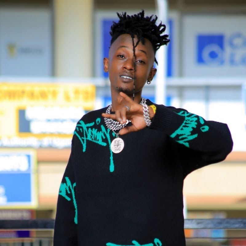 H.E VALLY MUSIC UG