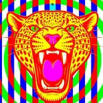 Catalina Estrada Uribe