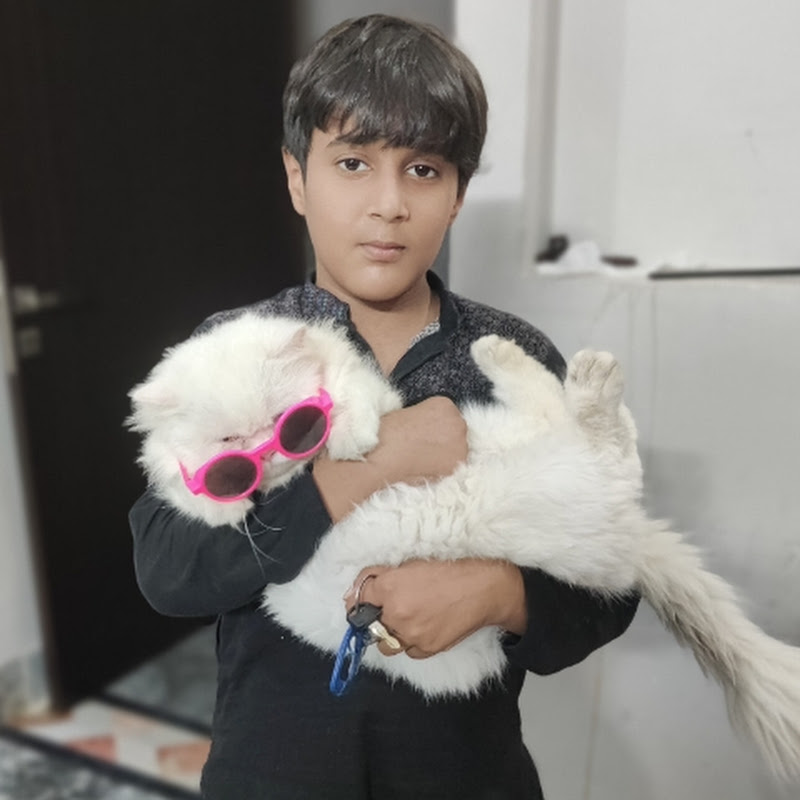 Subhan Vlogs