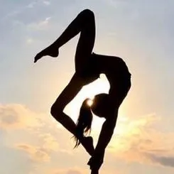 .acrobaticsforlife