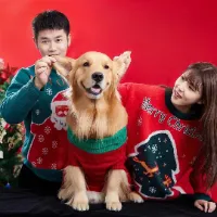 luhugoldenretriever