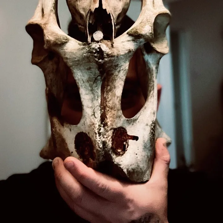 Bonecracker.crafts