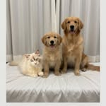 jackandbella_