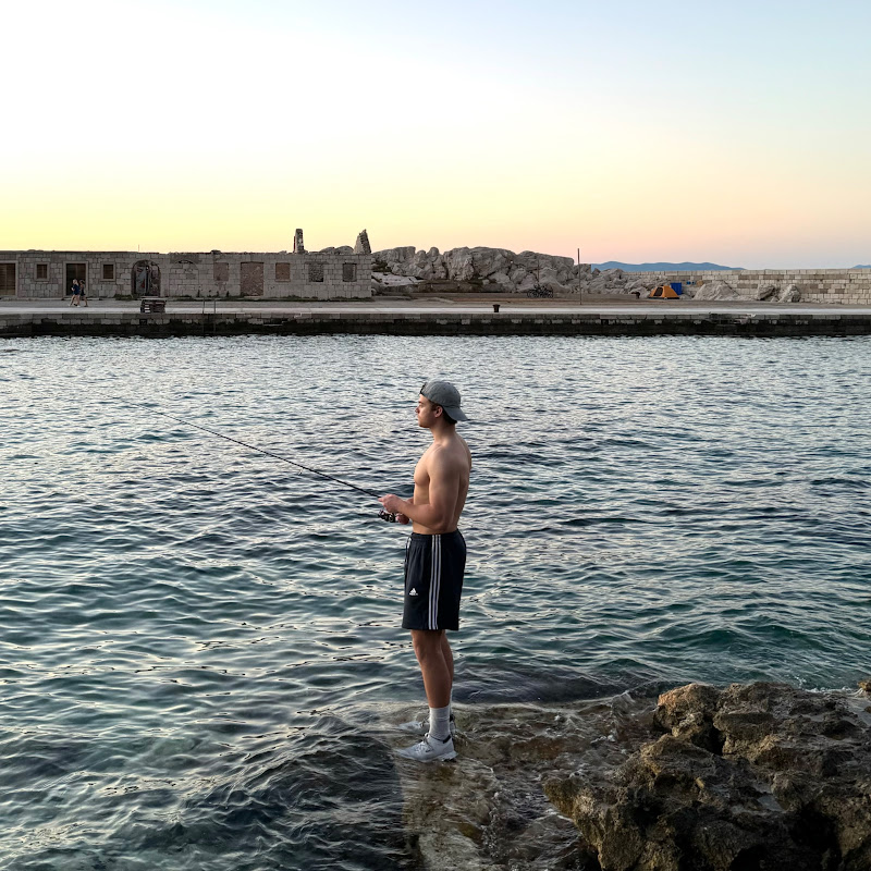 Joshing Around With Fish 