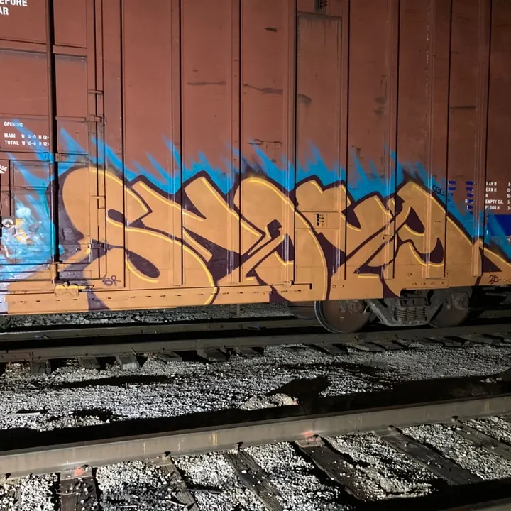 Snotwag