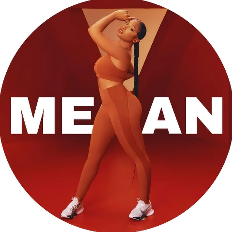 Megan Thee Stallion Fan