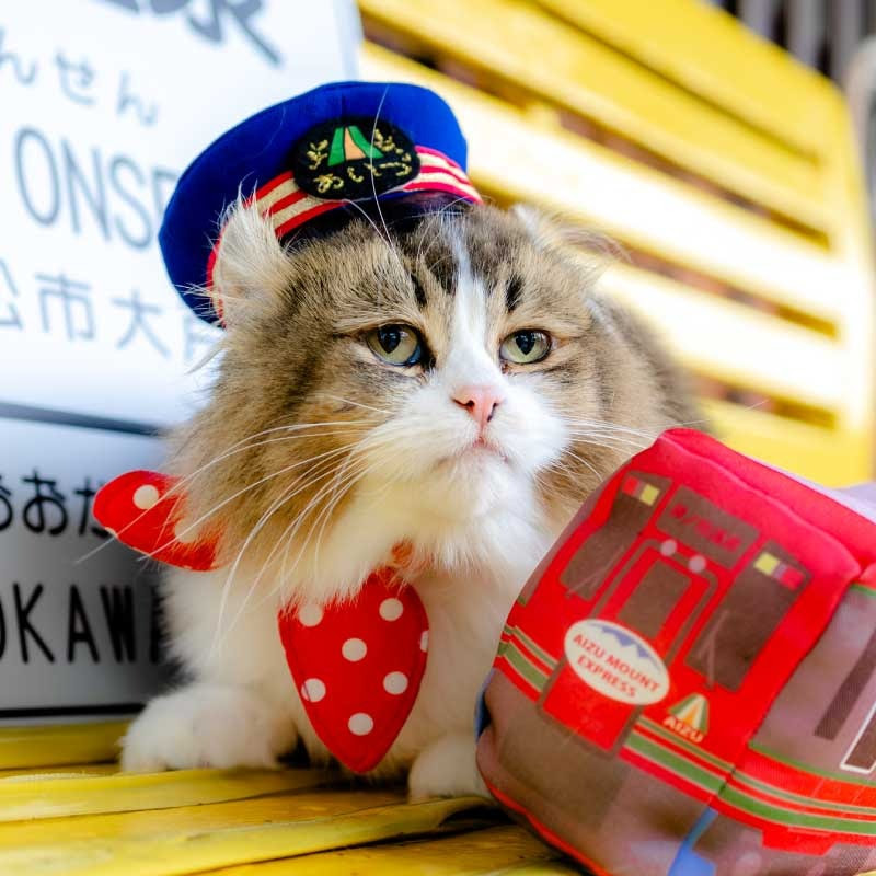 ねこ駅長さんチャンネル