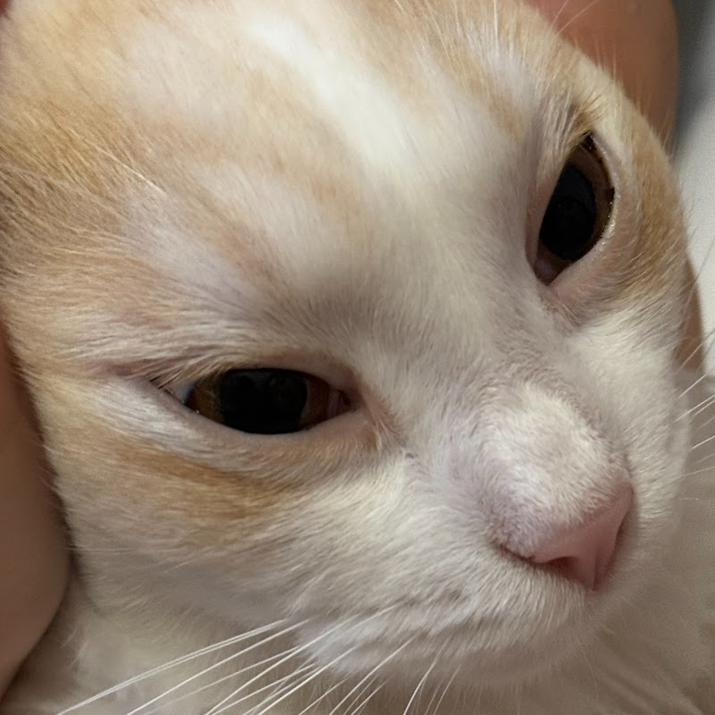 방구석 블랑제리 Chez Ruby