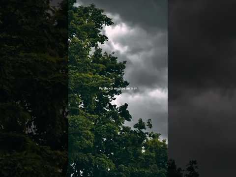 Zara sa ❤️#shorts#trendingshorts#trendingsong#aesthetic#kksong#lyricseditsong#nature