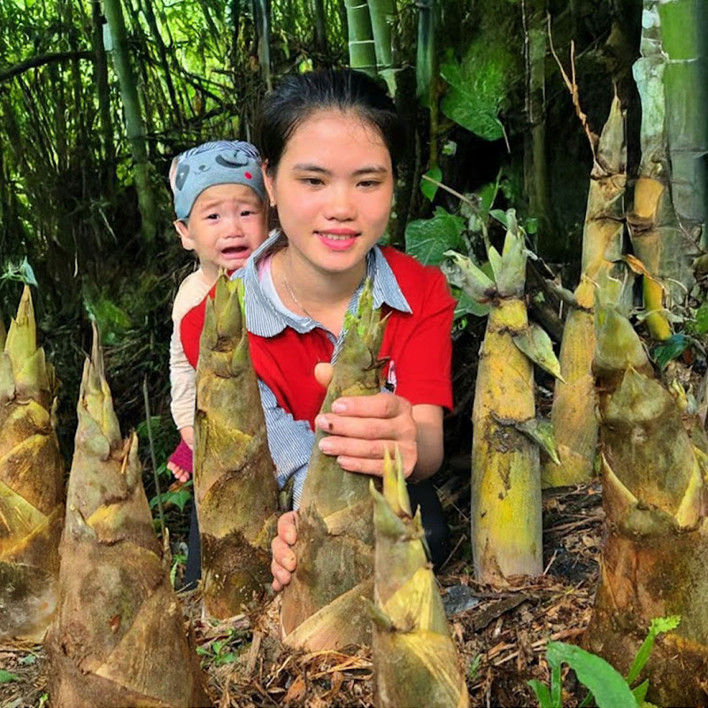 Thuy Thuy Daily Vlog