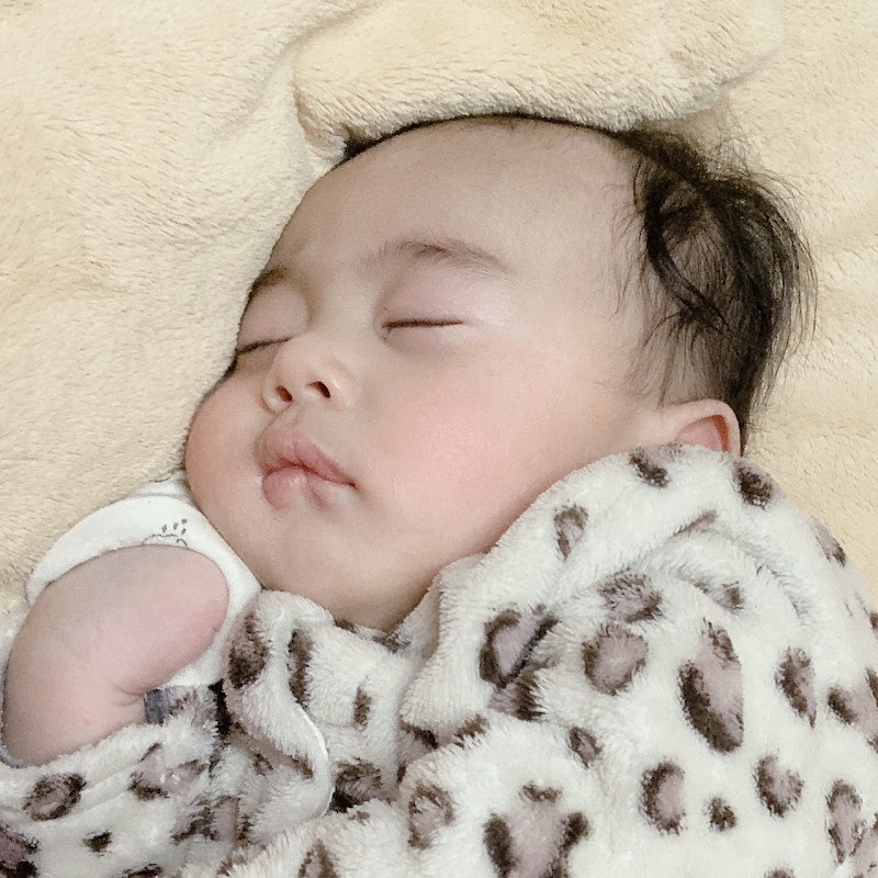 BABY HAMI