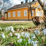 Visit Lappeenranta