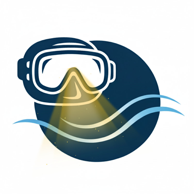 غواص فى بحر النت