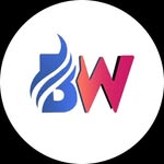 Belgium WebNet Inc.