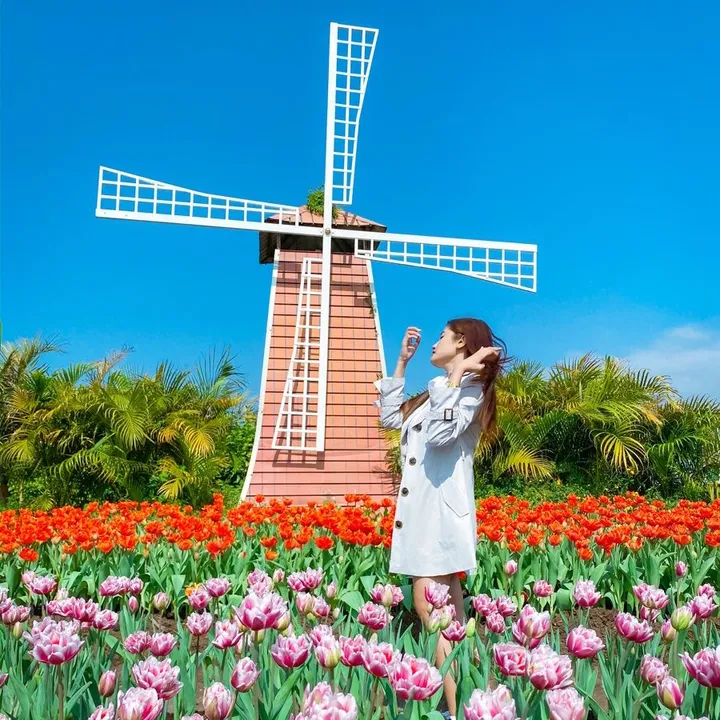 Taiwan bloom🌸🇹🇼