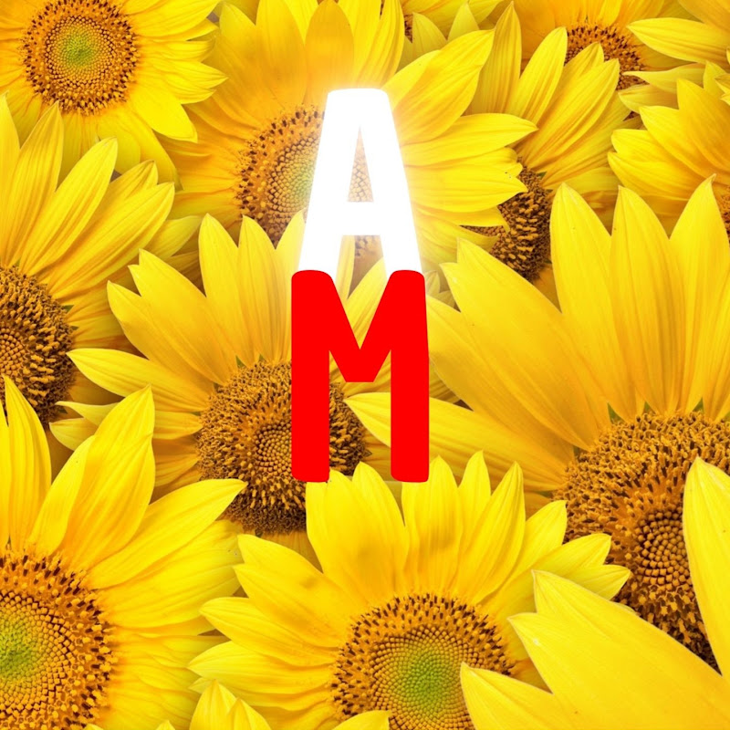 ADELANTE MARIAMI