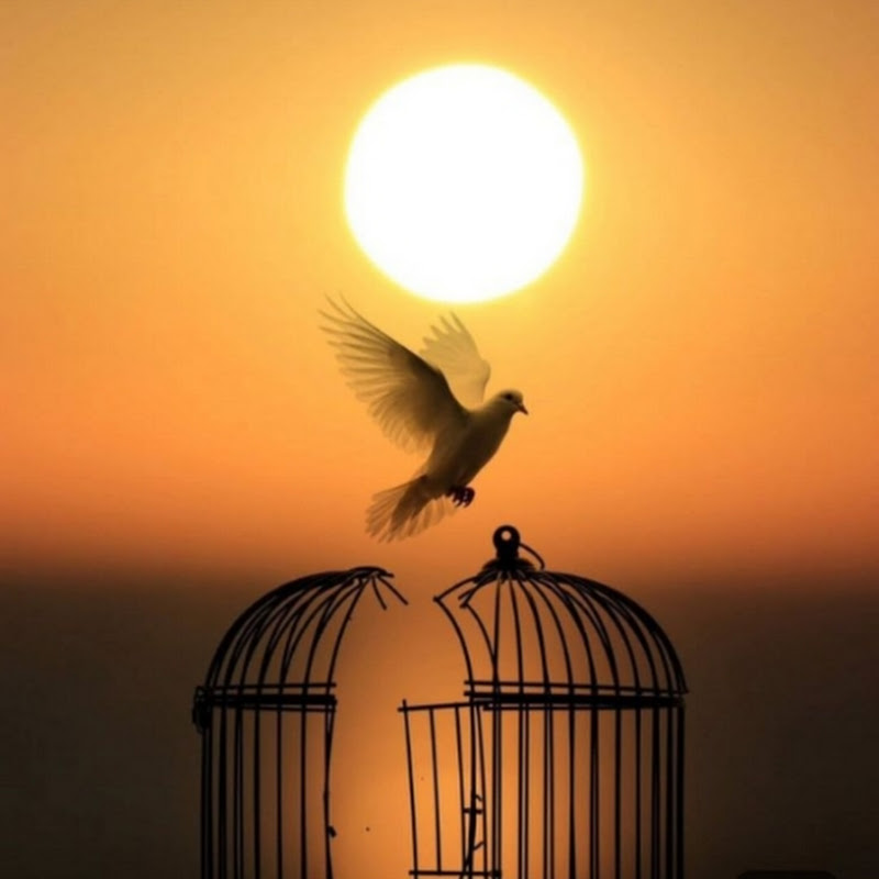 Beautiful Nature Moments